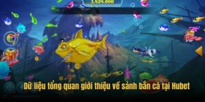 Hubet - Và Những Trận Đá Gà Kịch Tính, Mãn Nhãn, Hấp Dẫn