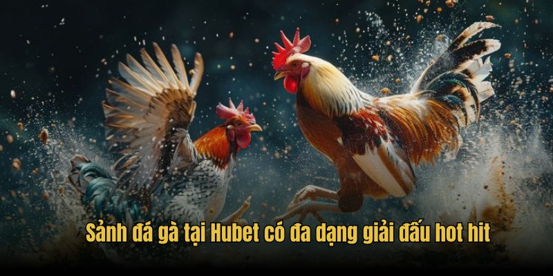 Sảnh đá gà tại Hubet có đa dạng giải đấu hot hit